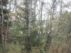 /photos/5477.jpg?w=640&h=480
