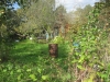 /photos/5485.jpg?w=640&h=480