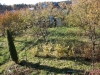 /photos/5515.jpg?w=640&h=480