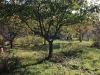 /photos/5516.jpg?w=640&h=480