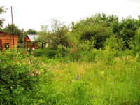 /photos/55304.jpg?w=640&h=480