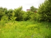 /photos/55306.jpg?w=640&h=480