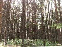 /photos/55572.jpg?w=640&h=480