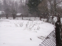/photos/55994.jpg?w=640&h=480