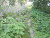 /photos/56353.jpg?w=640&h=480