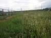 /photos/56354.jpg?w=640&h=480