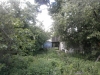 /photos/56357.jpg?w=640&h=480