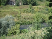 /photos/56359.jpg?w=640&h=480