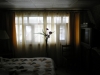 /photos/56363.jpg?w=640&h=480