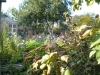 /photos/56365.jpg?w=640&h=480