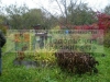 /photos/56411.jpg?w=640&h=480