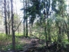 /photos/56468.jpg?w=640&h=480
