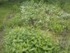 /photos/56507.jpg?w=640&h=480
