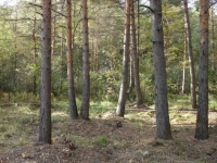 /photos/5690.jpg?w=640&h=480