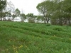 /photos/57124.jpg?w=640&h=480
