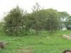 /photos/57129.jpg?w=640&h=480