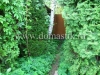 /photos/58089.jpg?w=640&h=480