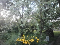 /photos/58371.jpg?w=640&h=480