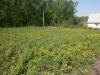 /photos/58456.jpg?w=640&h=480