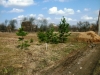 /photos/58616.jpg?w=640&h=480