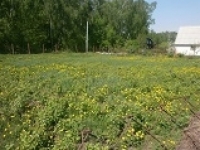/photos/58674.jpg?w=640&h=480