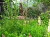 /photos/58719.jpg?w=640&h=480