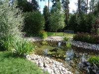 /photos/59067.jpg?w=640&h=480