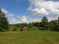 /photos/59127.jpg?w=640&h=480