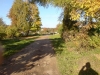/photos/59172.jpg?w=640&h=480