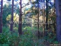 /photos/59184.jpg?w=640&h=480