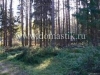 /photos/59186.jpg?w=640&h=480