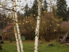 /photos/59285.jpg?w=640&h=480