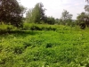 /photos/59687.jpg?w=640&h=480