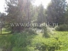 /photos/59801.jpg?w=640&h=480