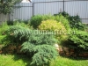 /photos/60031.jpg?w=640&h=480