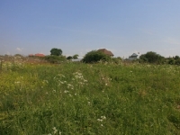 /photos/60104.jpg?w=640&h=480