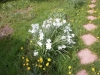 /photos/60349.jpg?w=640&h=480