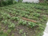 /photos/60413.jpg?w=640&h=480
