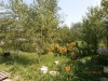 /photos/60687.jpg?w=640&h=480