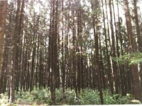 /photos/60971.jpg?w=640&h=480