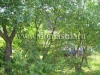 /photos/61340.jpg?w=640&h=480