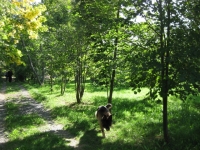 /photos/6170.jpg?w=640&h=480