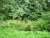 /photos/61820.jpg?w=640&h=480
