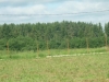 /photos/61828.jpg?w=640&h=480
