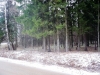/photos/62661.jpg?w=640&h=480