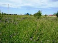 /photos/62771.jpg?w=640&h=480