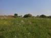 /photos/63386.jpg?w=640&h=480
