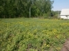 /photos/63414.jpg?w=640&h=480