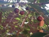 /photos/63430.jpg?w=640&h=480
