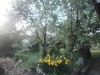 /photos/63742.jpg?w=640&h=480